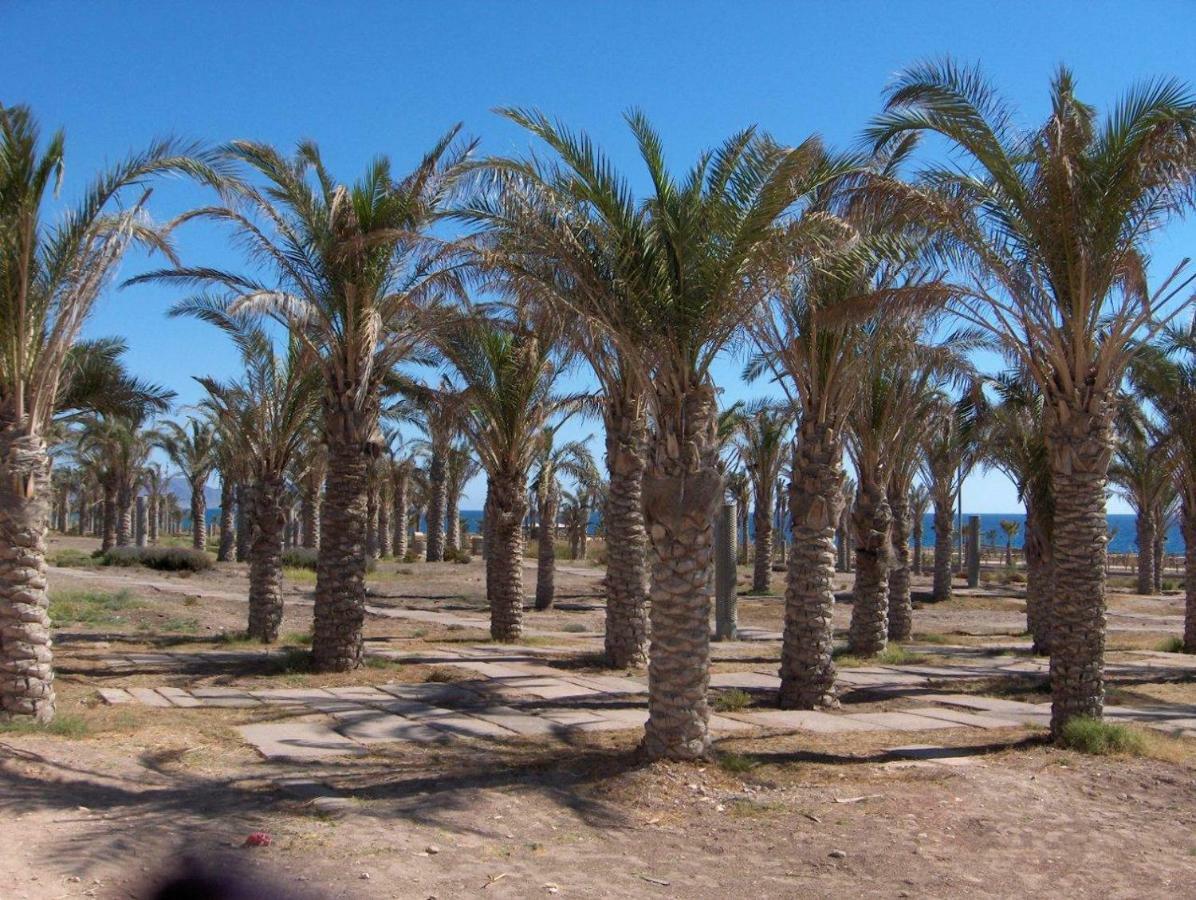 Golf Y Playa Junto Al Cabo De Gata Apartamento Almería Exterior foto